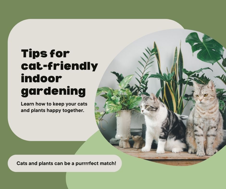 Alt-text example image. Tips for cat-friendly indoor gardening. Two cats sitting in front of potted plants. Green background.