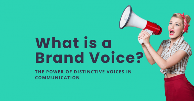 What is a Brand Voice - mungo desi - blog card