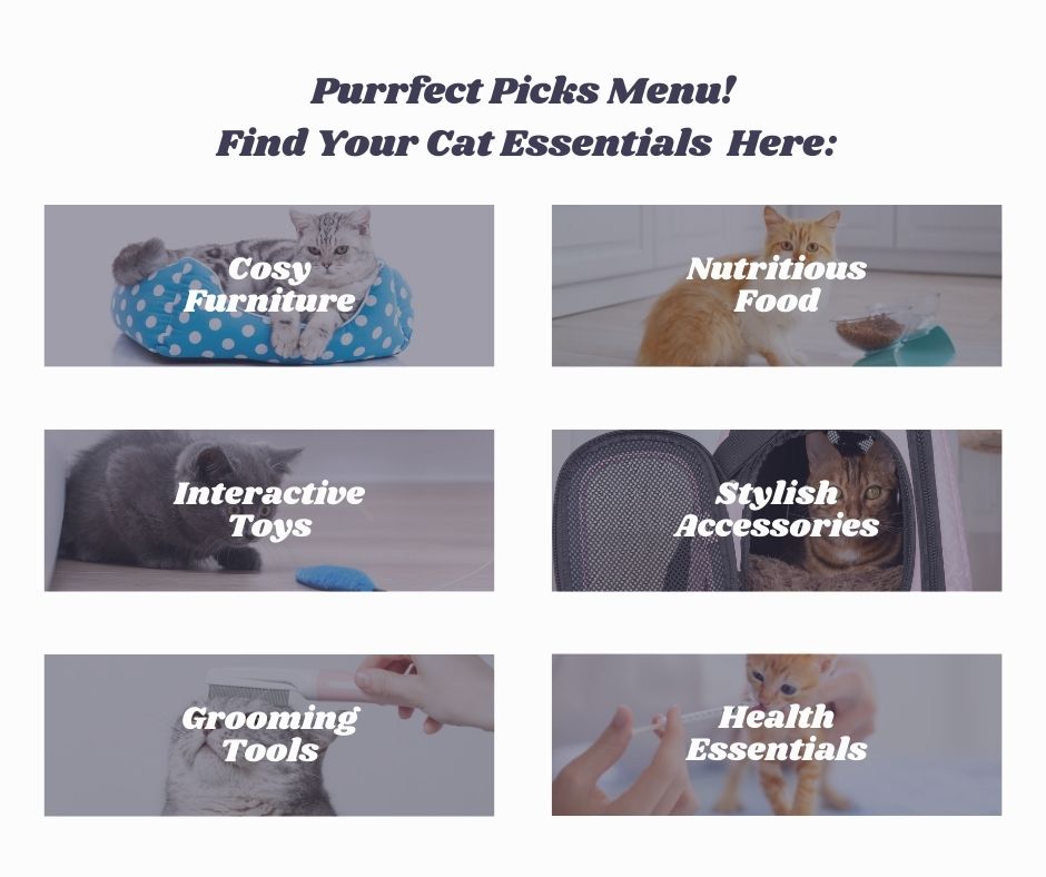 An example of a visual menu for alt-text usage. It depicts 6 different items each with cat images.