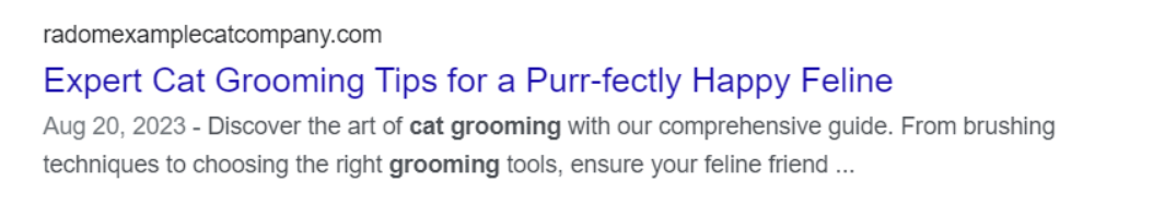 on-page SEO Search Results Example - Cat Grooming Company