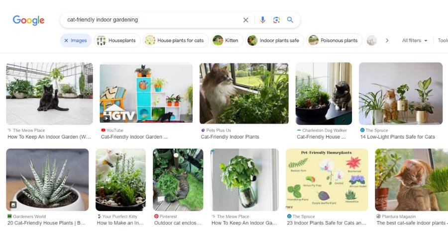 Search results example for at-text cat-friendly indoor gardening. Various images of cats and plants.
